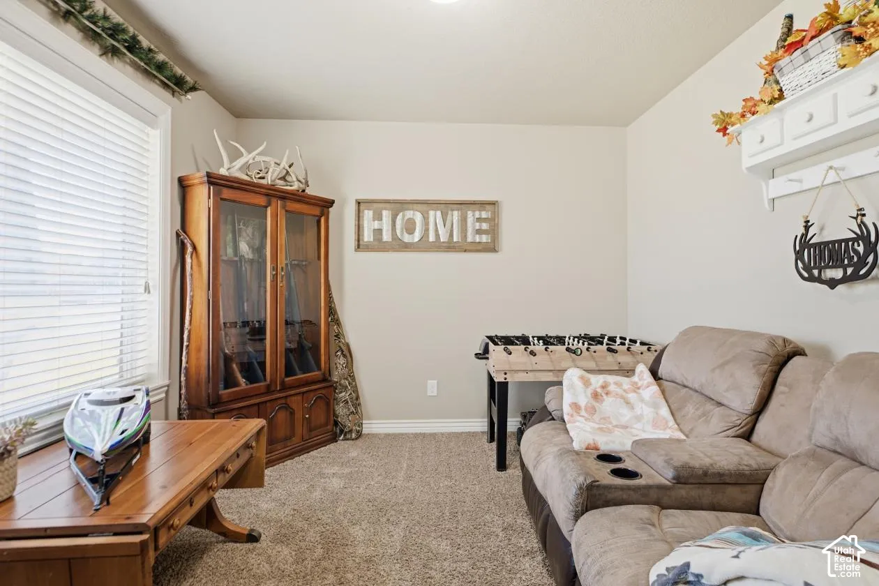 Neutral wall color, carpeted flooring, and window with blinds