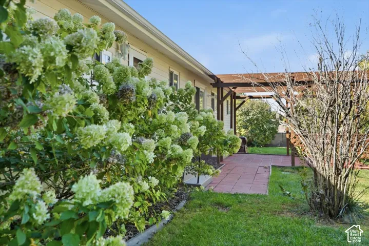 Expansive backyard featuring a manicured lawn, a red paver patio, a wood pergola, and mature shrubs