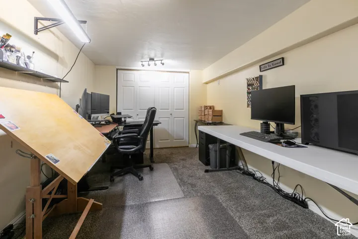 Carpet flooring, overhead fluorescent lighting, track lighting, and bi-fold closet doors