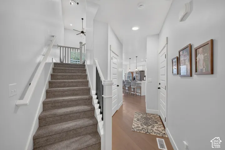 Carpeted staircase with white handrails and black balusters