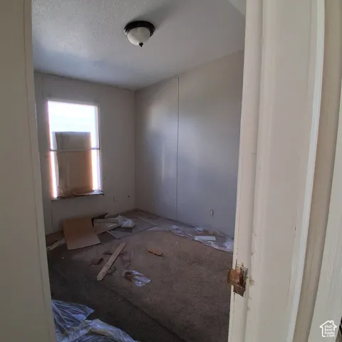 Recessed window with natural light, flush-mount ceiling fixture, paneled walls, and carpeted flooring