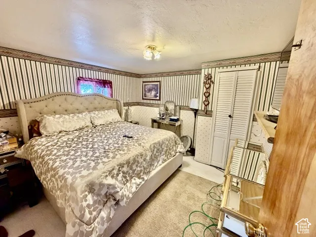 White bi-fold closet doors