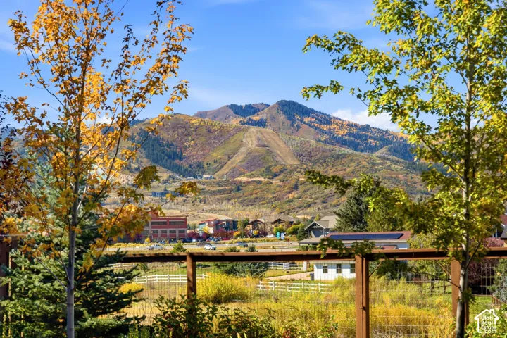 Mountain backdrop with varied autumn foliage