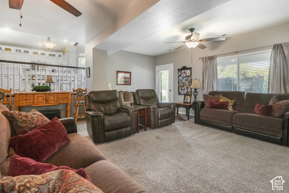 Carpeted living area