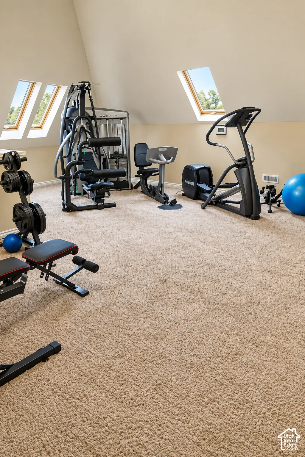 Carpeted room with a vaulted ceiling and two skylights