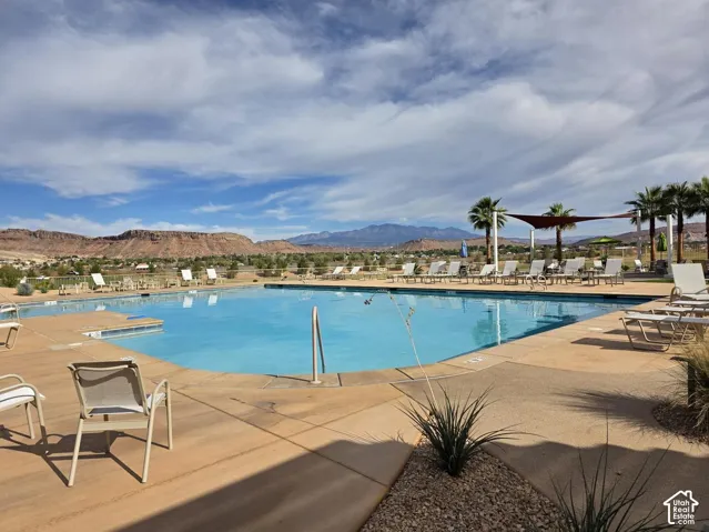 Expansive swimming pool with integrated tanning ledge, surrounded by a concrete deck and desert landscaping