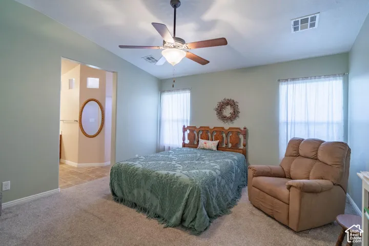 Spacious primary bedroom featuring soft sage-green walls, carpeted flooring, and abundant natural light from dual windows with vertical blinds