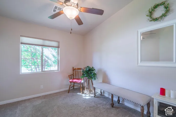 Carpeted flooring, window with blinds, ceiling fan with light fixture, and a framed mirror