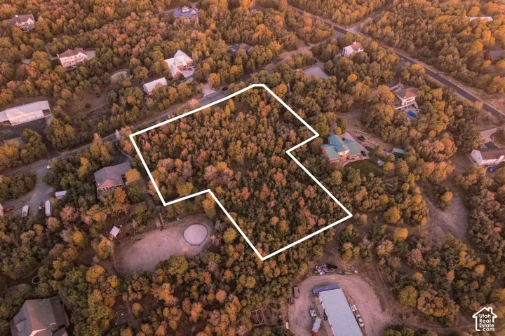 Wooded lot with mature trees