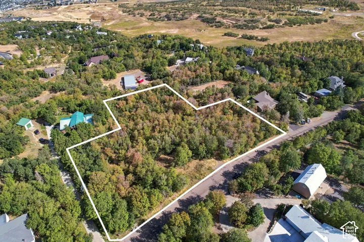 Expansive undeveloped lot featuring mature trees and established residential surroundings