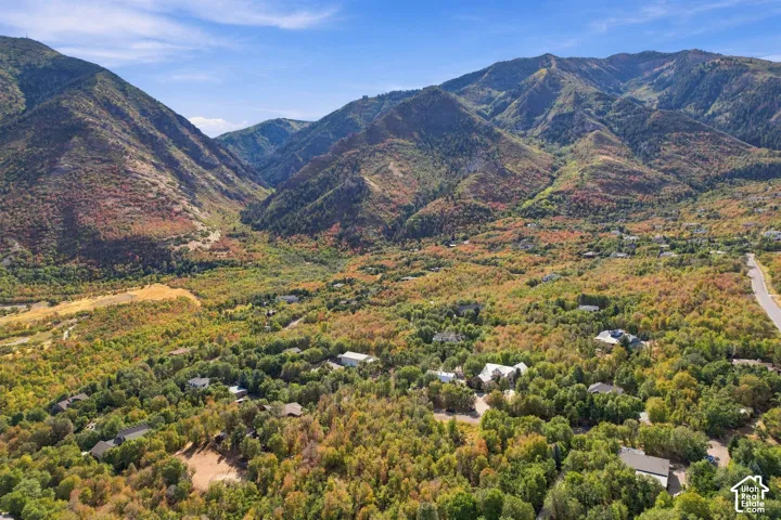 Expansive mountainous terrain with lush, mature trees, and a clear blue sky