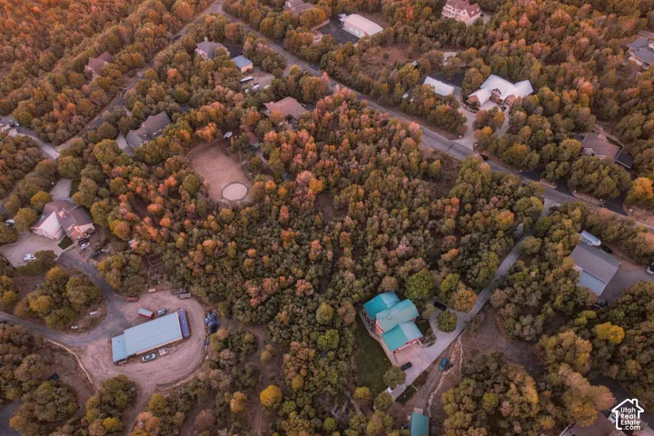 Extensive wooded property with multiple residences, outbuildings, and an equestrian arena