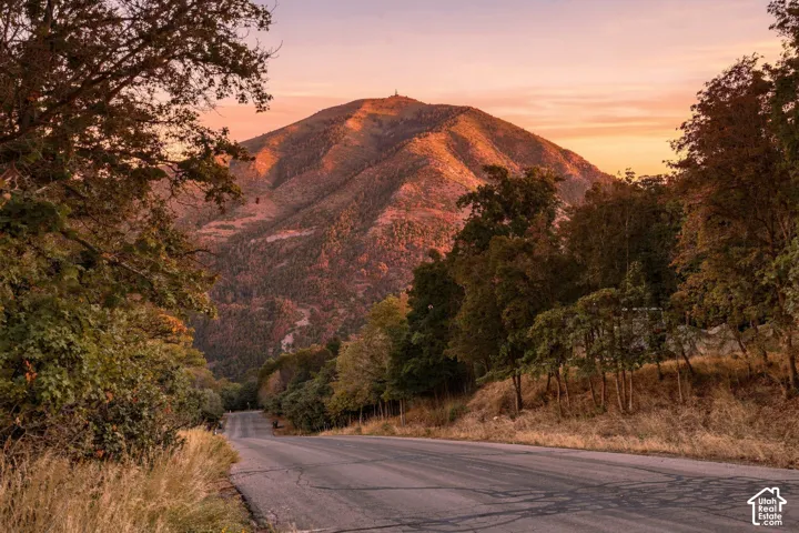 Mountain backdrop with natural tree lines