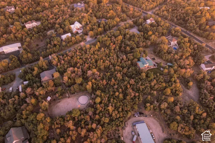 Extensive treed landscape with multiple structures, including a primary residence with a green roof, a secondary residence with a pool, and a large outbuilding