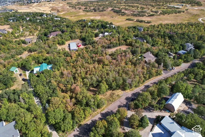 Expansive residential area featuring a road, mature trees, and scattered homes