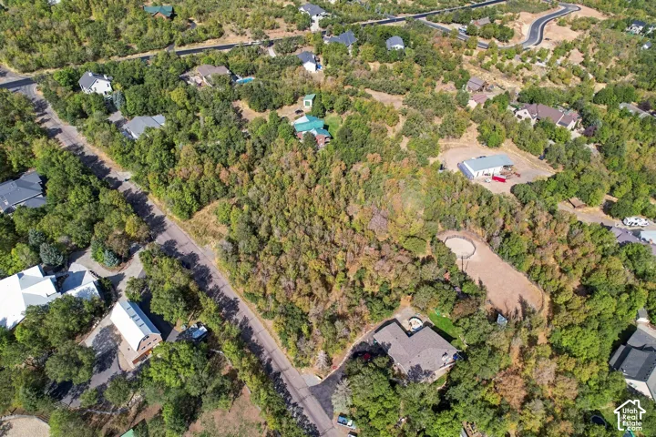 Expansive wooded lot with a cleared, level building site