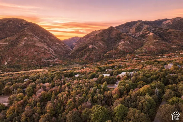 Mountainous terrain with natural vegetation surrounding a residential area, featuring an expansive tree canopy