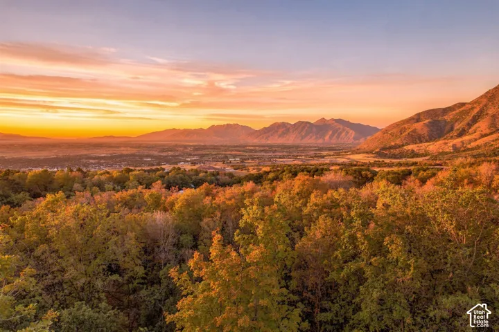 Expansive mountain landscape with a verdant valley and a treed foreground