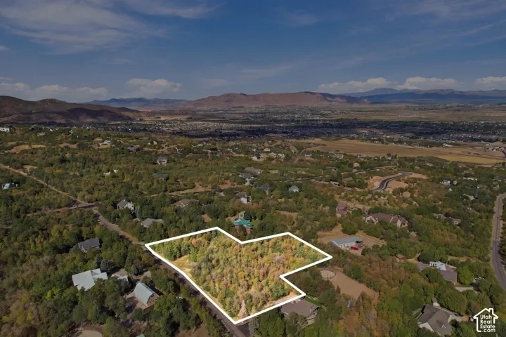 Expansive treed lot outlined in white, surrounded by other residential properties