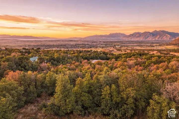 Expansive natural landscape featuring lush foliage and distant mountain ranges