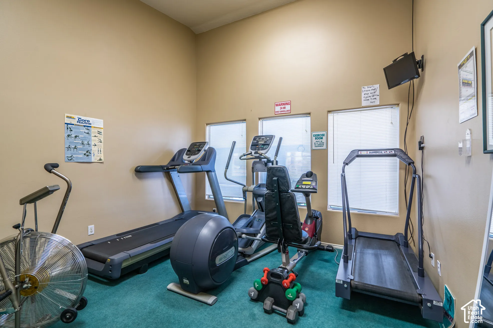 Fitness area with multiple windows, carpet flooring, wall-mounted television, and crown molding