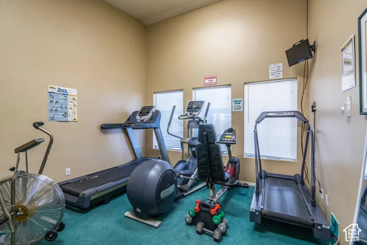 Fitness area with multiple windows, carpet flooring, wall-mounted television, and crown molding