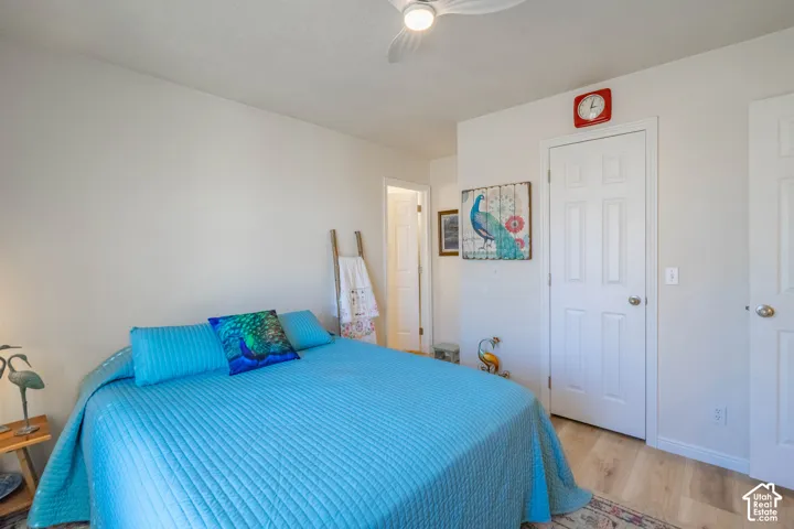Wood-finish flooring with white baseboards, a white ceiling fan, and white paneled doors