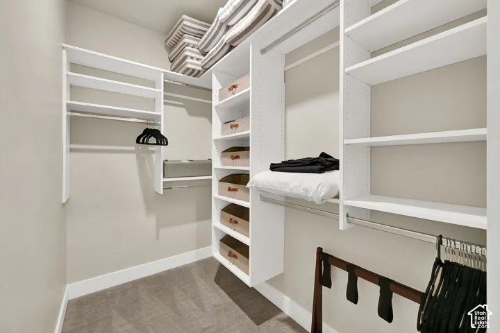 Walk-in closet featuring built-in shelving, multiple hanging rods, and carpet flooring