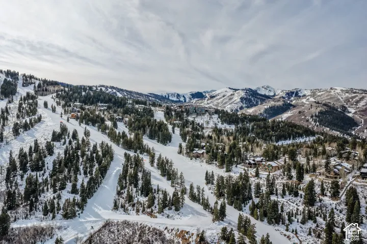 Snow-covered mountain landscape featuring ski trails and evergreen trees