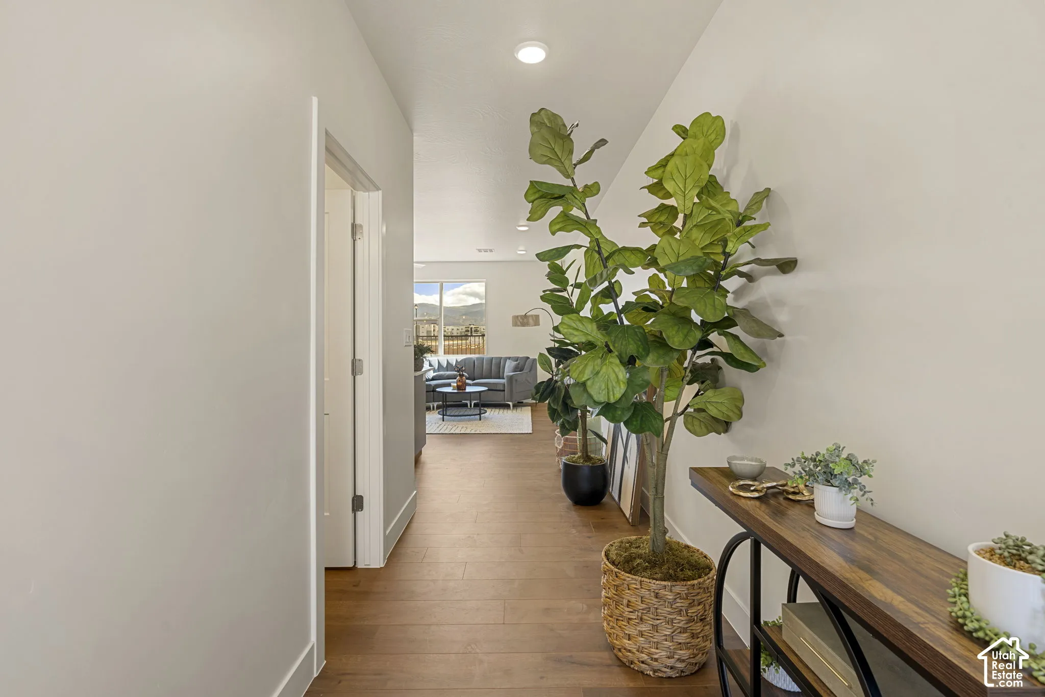 Bright hallway featuring wood-finish flooring, recessed ceiling lighting, and abundant natural light