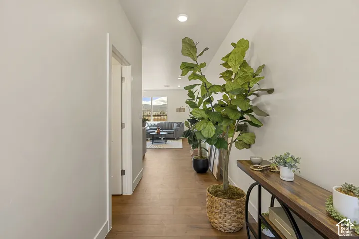 Bright hallway featuring wood-finish flooring, recessed ceiling lighting, and abundant natural light