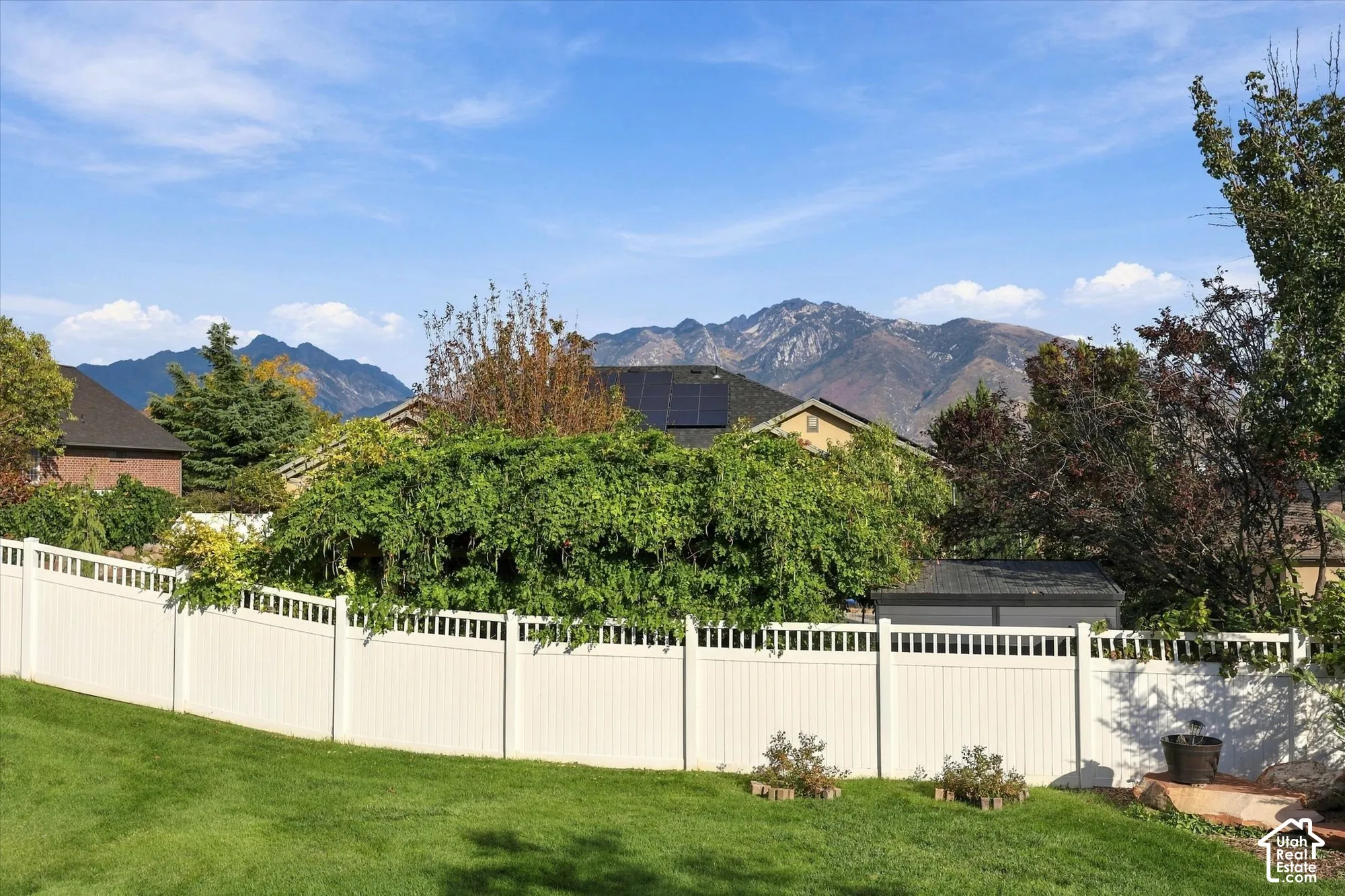 Expansive backyard with manicured lawn, white vinyl fencing, and mature landscaping including climbing vines and established trees