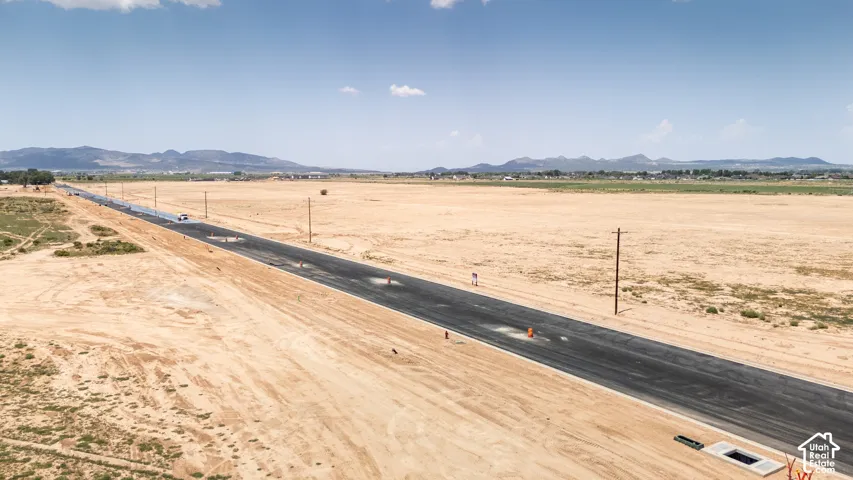 Newly paved road system with utility poles