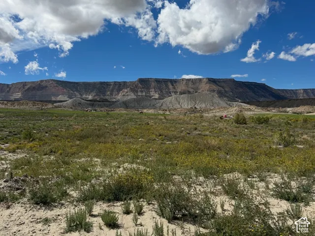 Expansive land featuring desert flora, natural terrain, and distant mountain formations