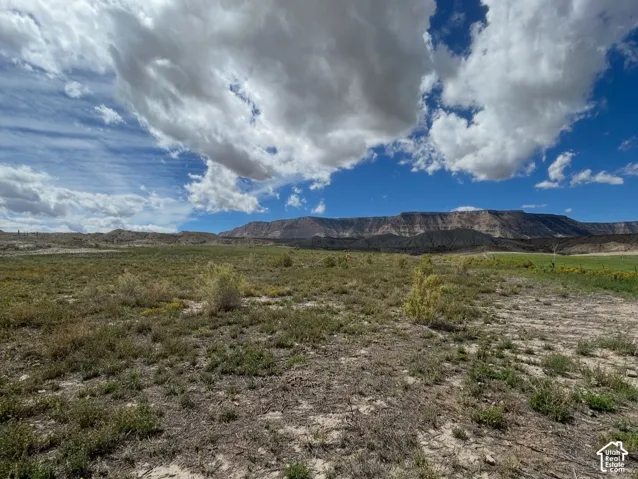 Expansive open terrain with natural ground cover