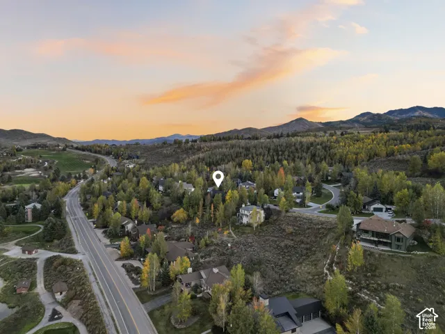 Aerial perspective showcasing this residence nestled within mature evergreen and deciduous tree coverage, situated on expansive grounds with multiple structures visible across the property