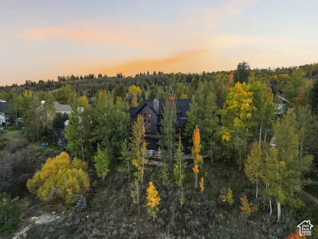 Black exterior with a dark roof and large windows, surrounded by mature deciduous and evergreen trees, set on a sloped, natural landscape