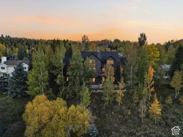 Dark-toned exterior with multiple windows, surrounded by dense trees, and situated on a sloped landscape