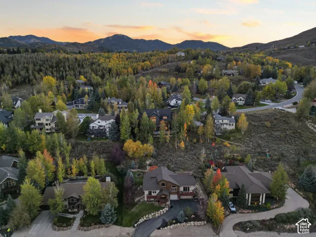 Mountainous landscape featuring residential properties and extensive tree coverage