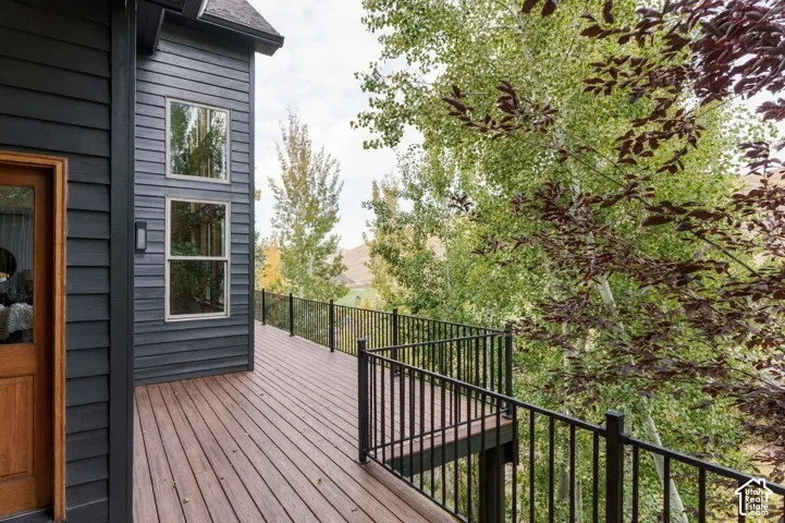 Expansive exterior deck featuring composite decking, black metal railings, and a rich wood-paneled door