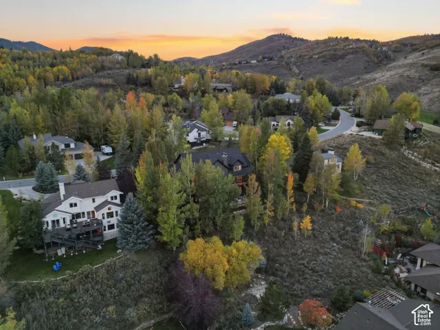 Hillsides featuring expansive tree coverage with varied foliage