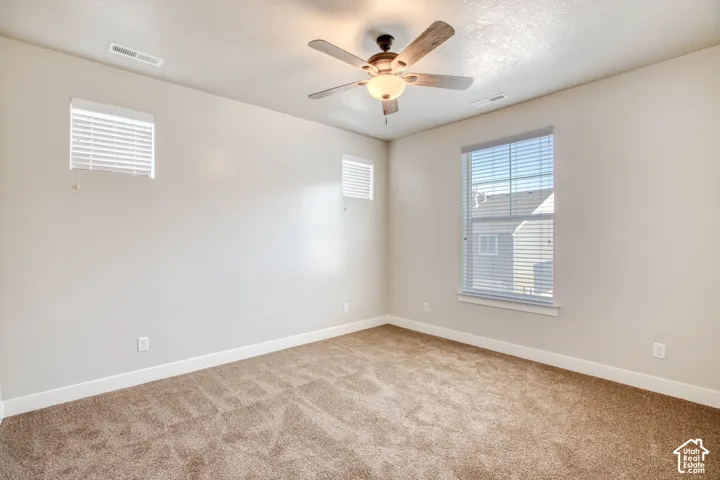 Plush carpeting and light-toned walls