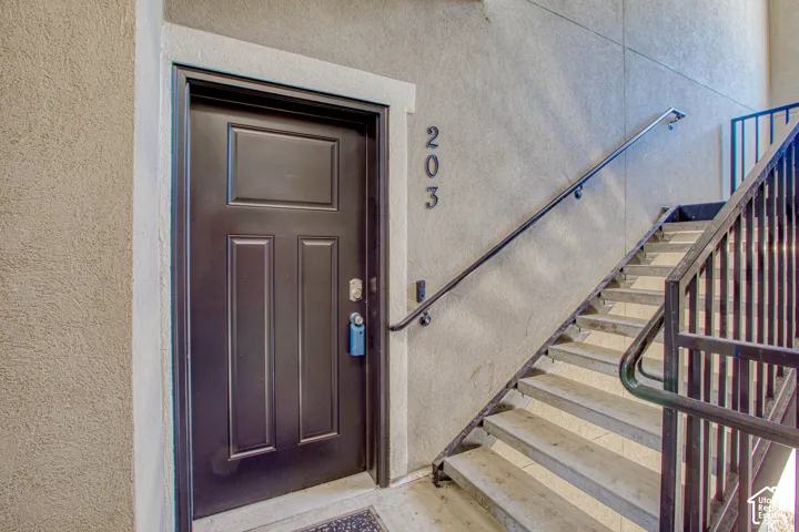 Panel-style entry door with dark finish