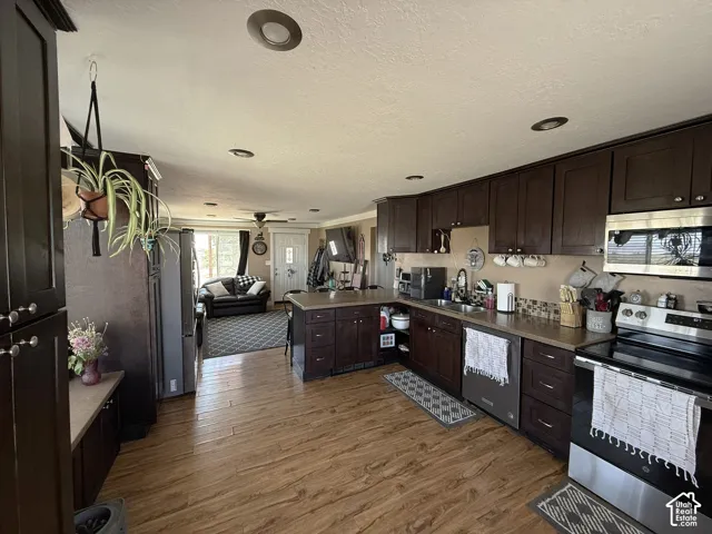 Kitchen featuring wood-finish flooring, dark wood cabinetry, stainless steel appliances, and a tile backsplash