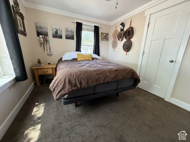 Neutral wall paint, crown molding, white trim, paneled door, and carpeted flooring