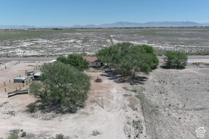Expansive desert landscape with mature trees and a single-story residence