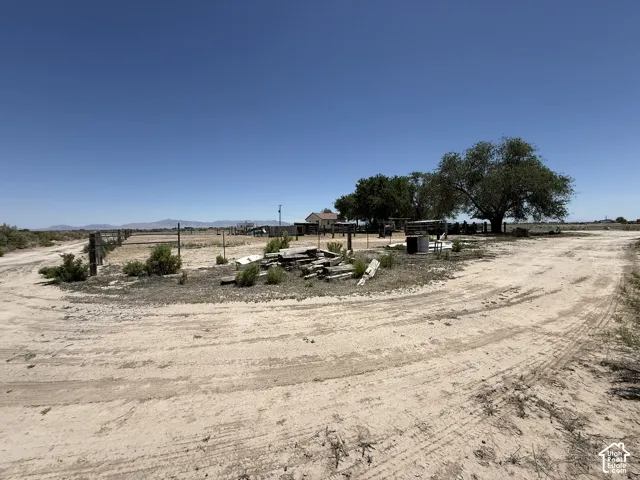 Expansive unpaved lot with established trees and natural landscaping