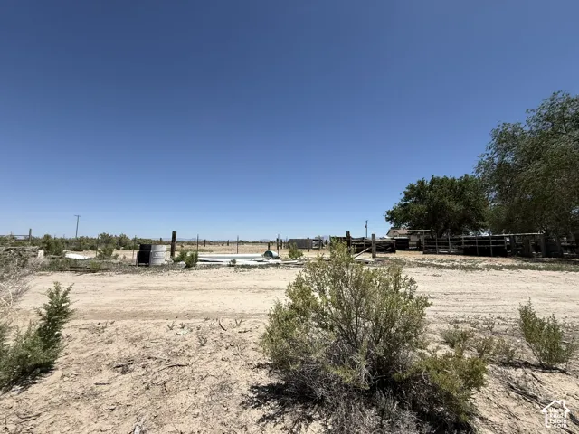 Expansive lot featuring mature trees, a wooden fence line, and a single-story structure