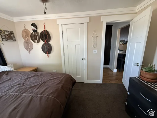 Carpeted flooring, white trim details, and white interior doors