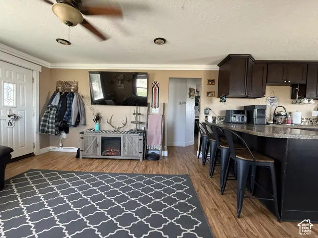 Wood-finish flooring throughout, ceiling fan with integrated lighting, recessed lighting, built-in cabinetry, and a countertop bar area